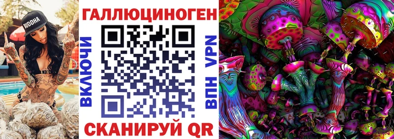 купить Суровикино Галлюциногенные грибы Magic Shrooms