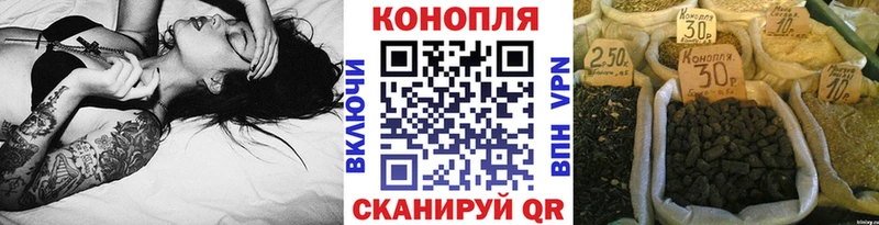 цены наркотик  Суровикино  Бошки Шишки Ganja 